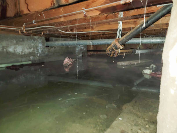 Best Water damage cleanup near me  in Unadilla, GA