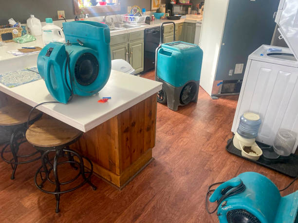 Reliable Unadilla, GA Water damage restoration Solutions
