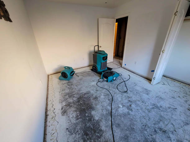 Best Sewage cleanup and water damage restoration  in Unadilla, GA