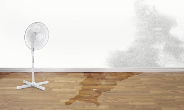  Unadilla, GA Water damage restoration Pros