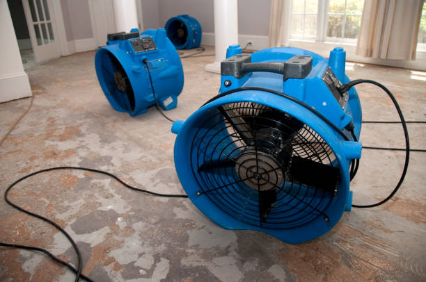 Best 24/7 water damage repair  in Unadilla, GA