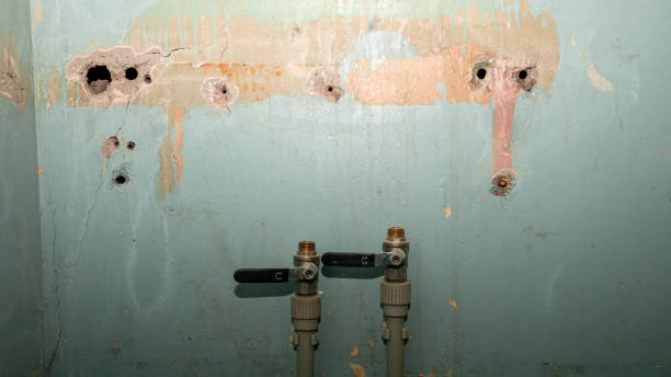 Best Water damage restoration insurance claims  in Unadilla, GA