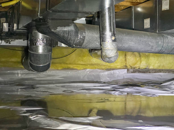 Best Carpet water damage restoration  in Unadilla, GA