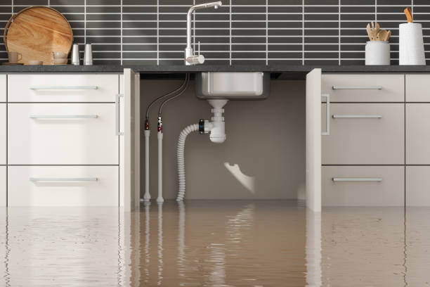 Best Mold removal after water damage  in Unadilla, GA